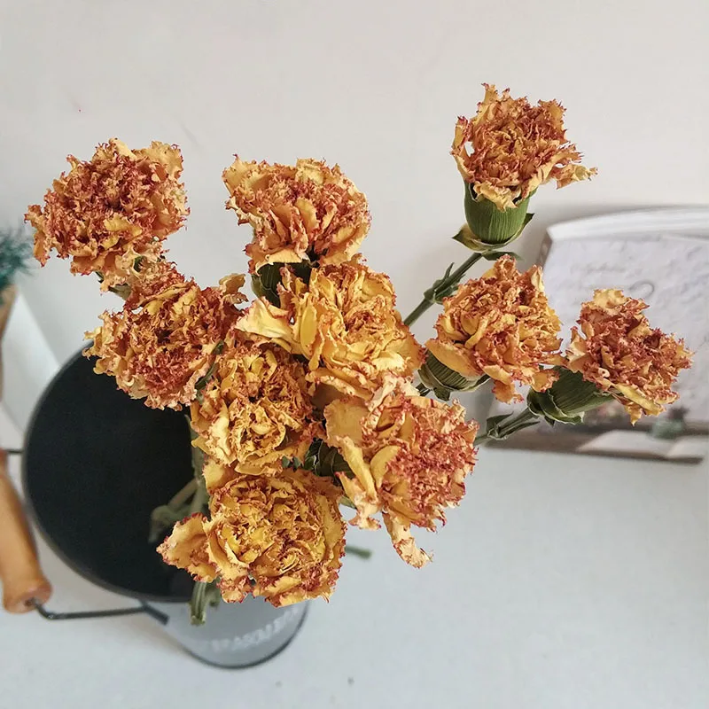 10 шт. Натуральные сушеные цветы |