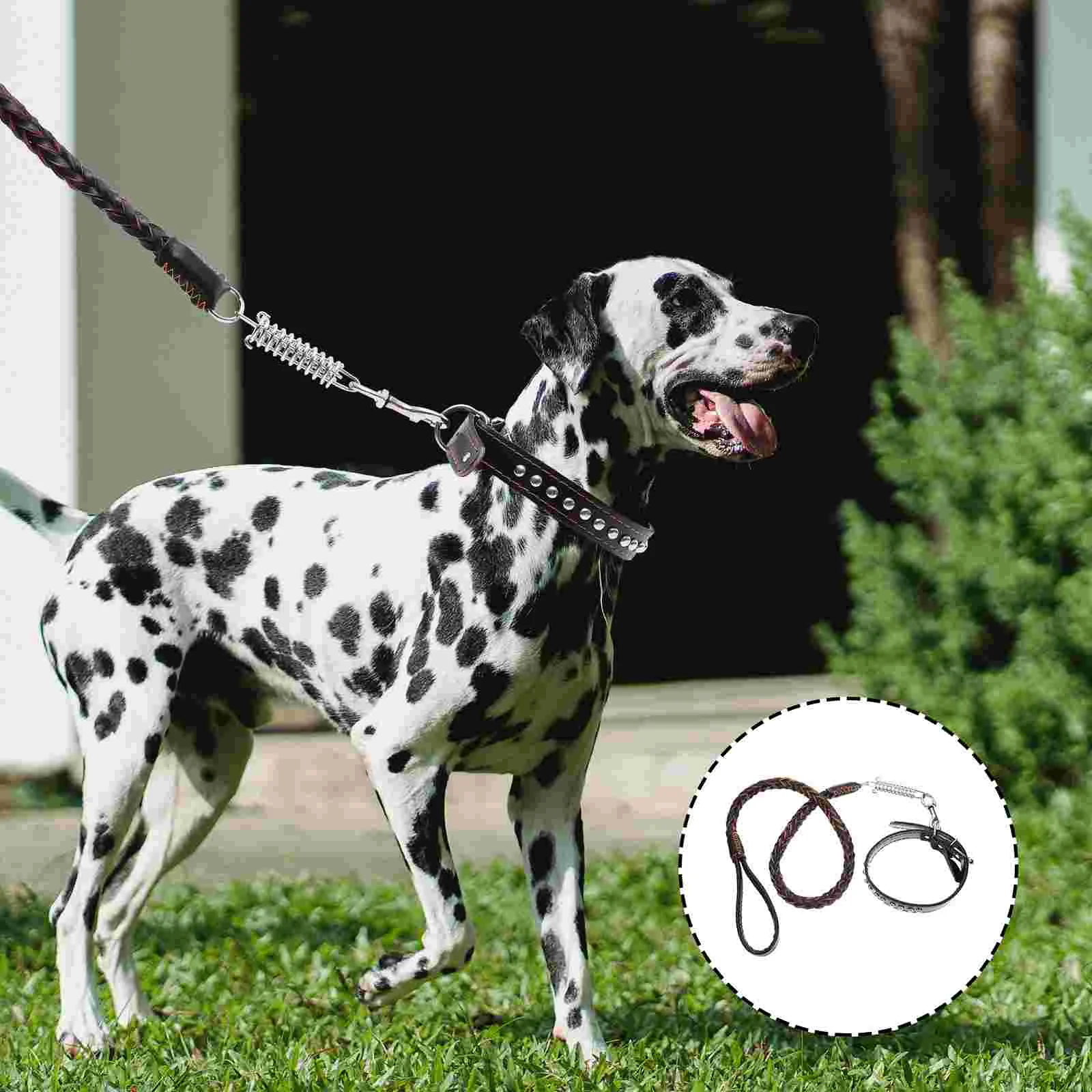 

1 Set Leash Dog Leash And Collar Escape Proof Dog Leash Dog Adjustable Collar Medium Size Dog Leash for Walking Outdoor Park Pet