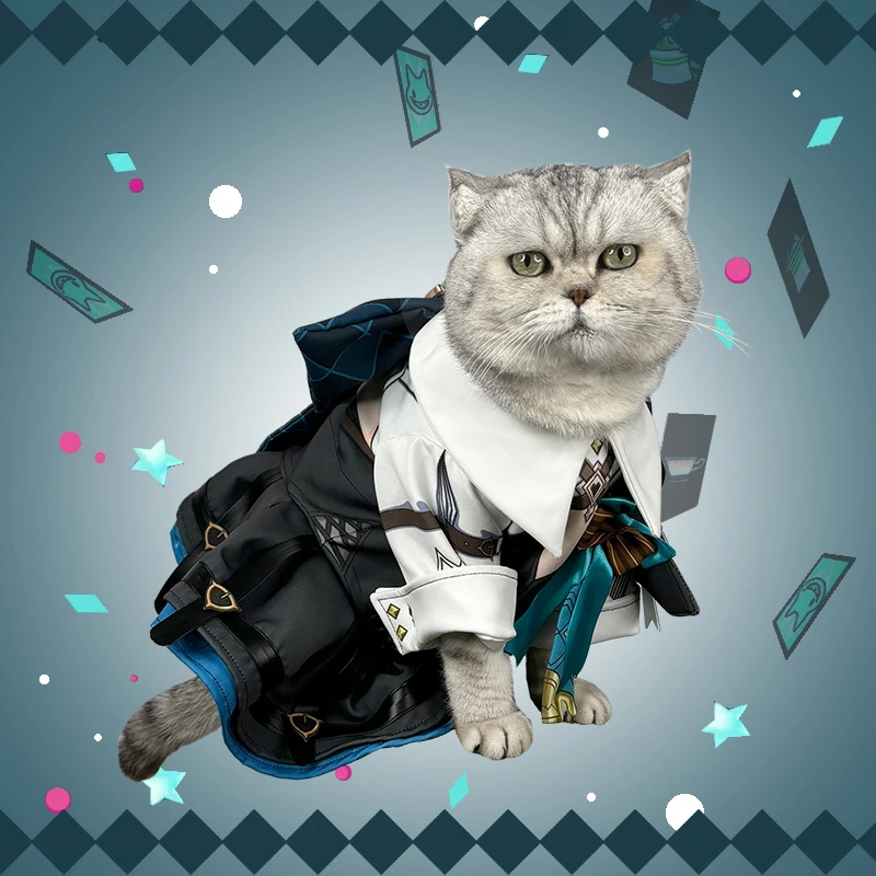 Игра Genshin Impact косплей линетт мультяшная одежда для маленького кошки пальто