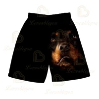 summer male breathable shorts puppy cat lion print sportswear jogger beach workout men fitness bodybuilding shorts