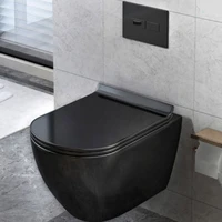 First Class Quality Matte Black ceramic Wall Hung Toilet Wc Toilet With Concealed Tank