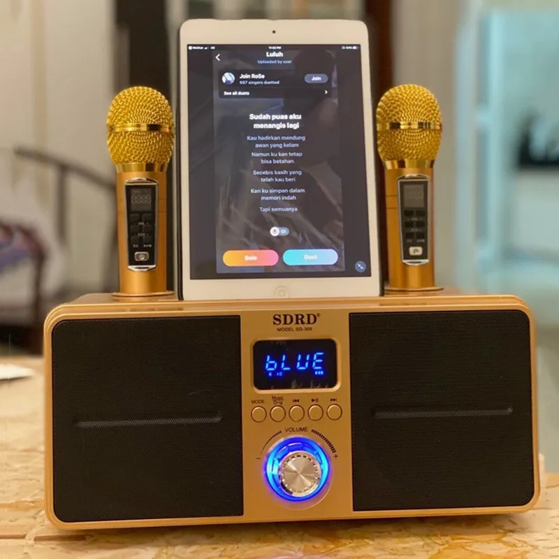 Беспроводной динамик SD309, портативная Bluetooth-Колонка для дома и караоке, 30 Вт, AUX-ТВ