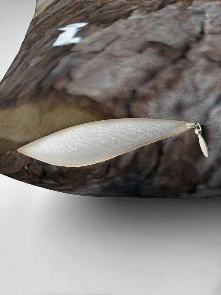 Roborновский хомяк наволочки для диванных подушек роскошные диванные подушки