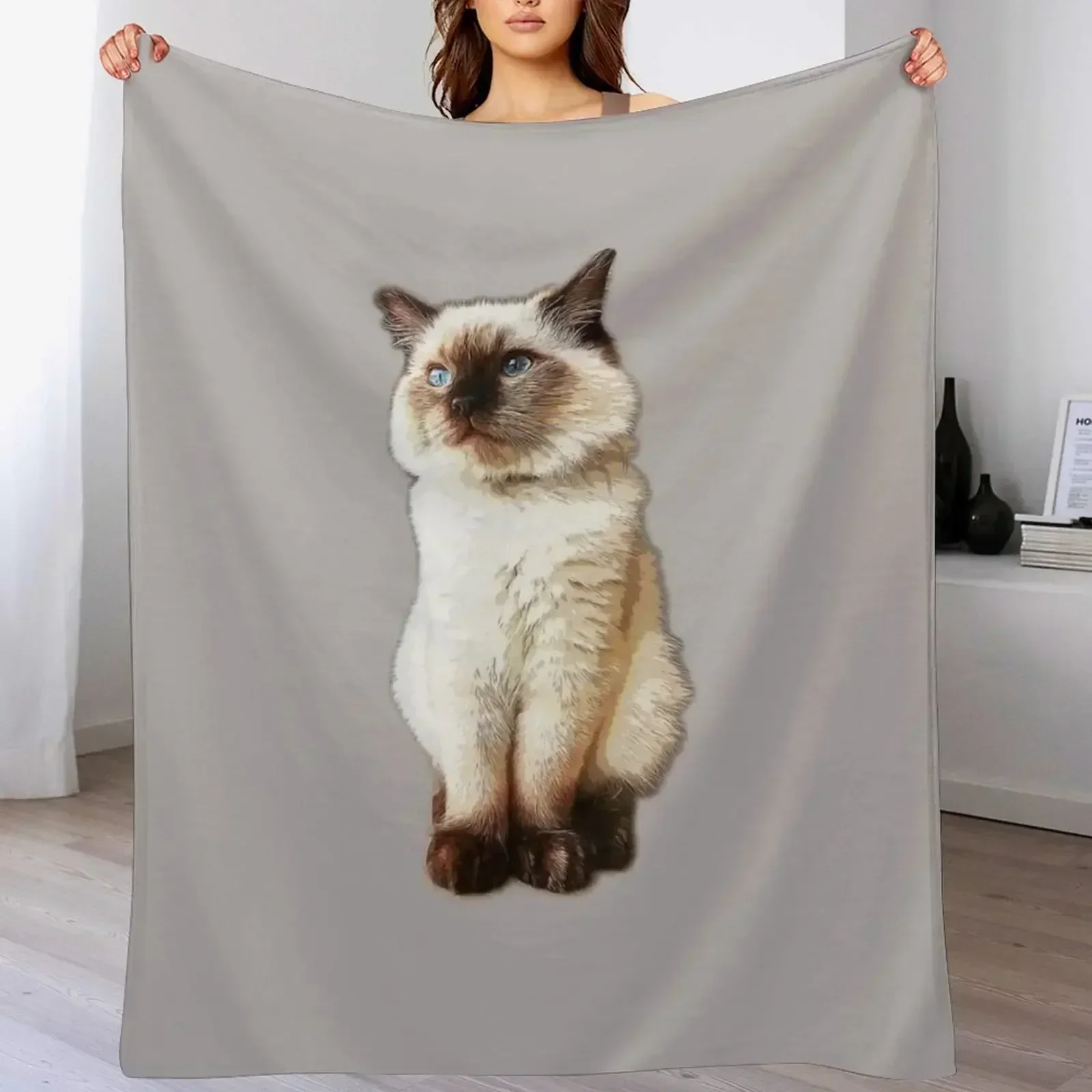 Рэгдолл Кот Тряпичная кукла Котенок Бирман Печатка Точка Плед Одеяло Гигантский