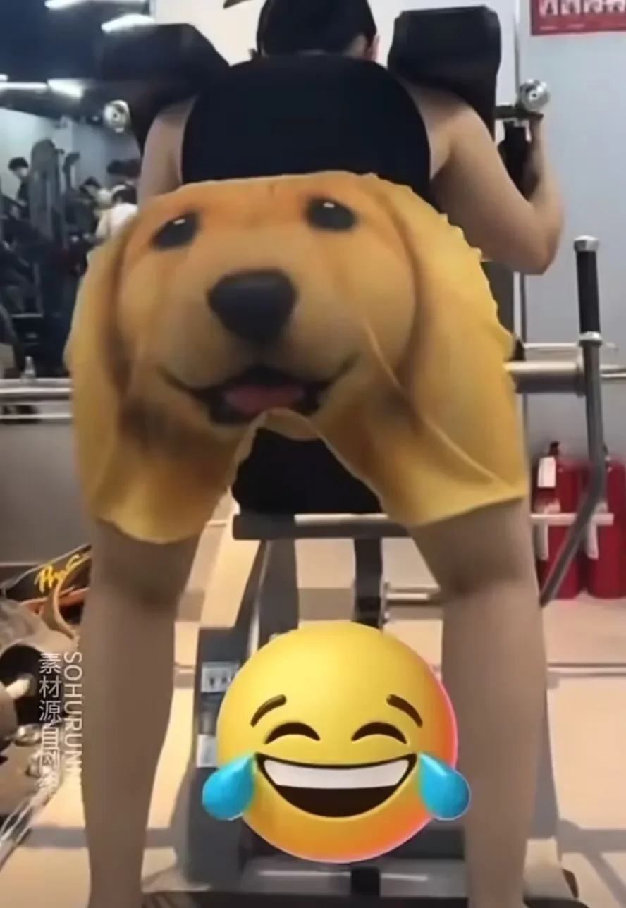 Tiktok Live Funy Брюки Ретривер Хаски с принтом Быстросохнущие шорты Пижамы для косплея