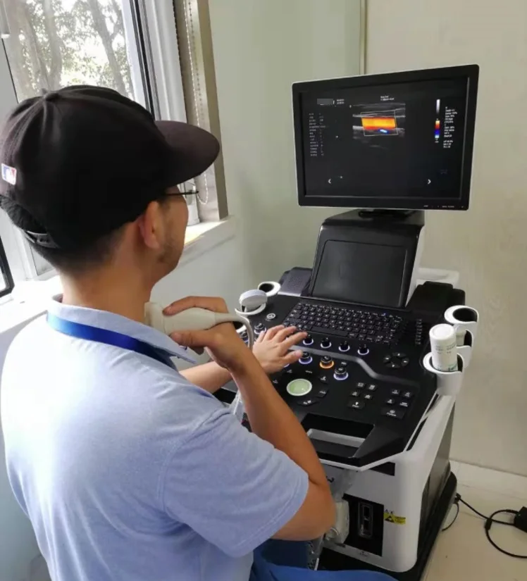 HOCHEY MEDICAL Новое поступление 3D/4D/5D цветной допплеровский сканер тележка
