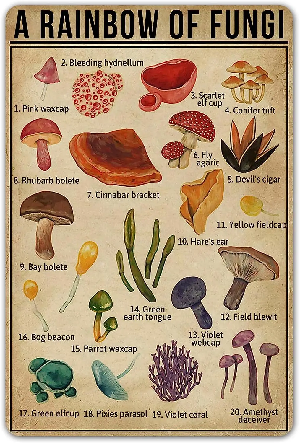 

Smartcow Радуга грибков, винтажный жестяной знак, знания о грибках, металлические знаки, природа, любимый настенный художественный плакат, Декор