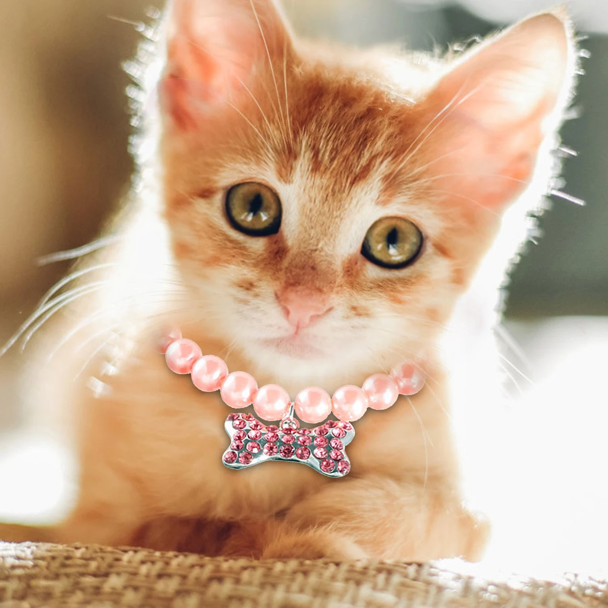 

Pet Dog Pearls Necklace Collar Jewelry Bling Rhinestones Puppy Cat Wedding Collar Jewelry Accessories for Female Dogs Cats Pets