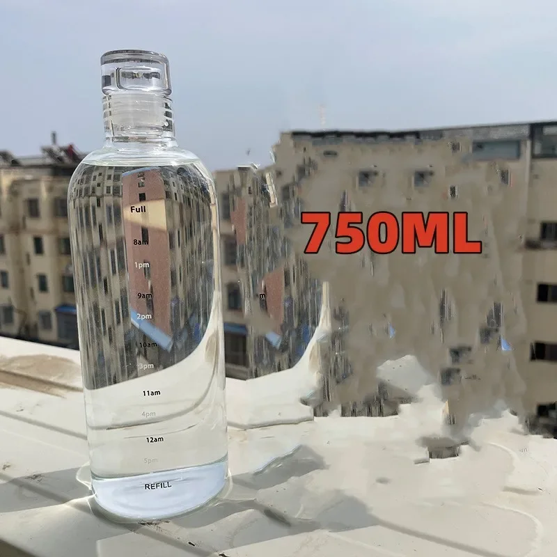 

Портативная стеклянная бутылка для воды 300-1000 мл