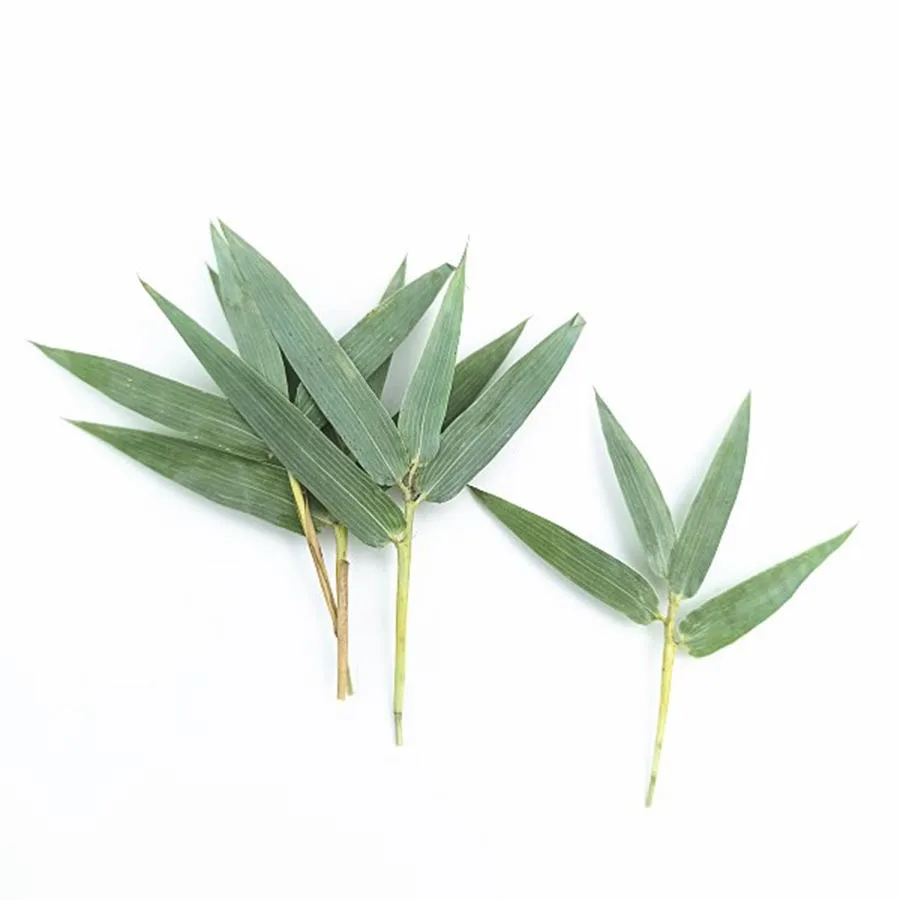 250 шт. зеленые бамбуковые листья и травы |