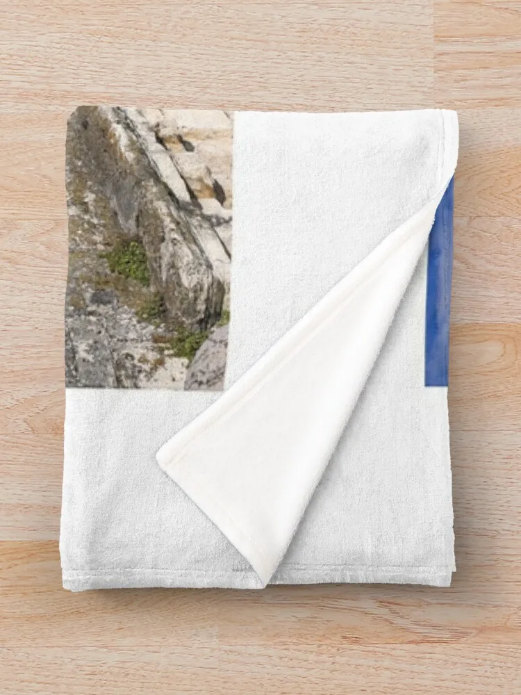 Old town and stone Tiberius bridge in Rimini Italy Throw Blanket Sleeping Bag Retros Giant Sofa Quilt Blankets