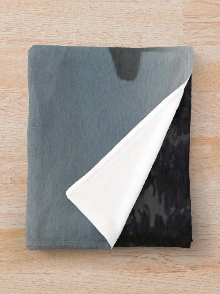 Drarry в дымчатый день теплое одеяло для младенцев мягкие большие зимние одеяла