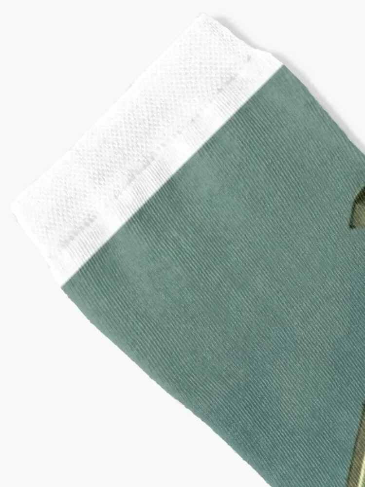 Koblenz Wabbit носки для бега хоккея компрессионные пользовательские спортивные