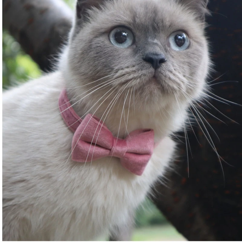 

Velvet Cat Collar Bowknot Adjustable Safety Buckle Gatos Bow Tie Cat Accessories Collar for Cats with Bell Solid Color