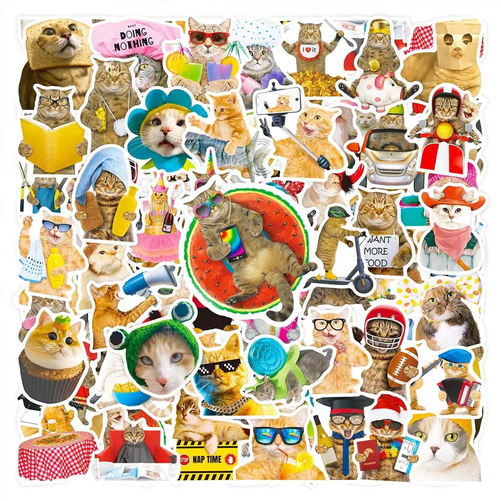 

10/30/50 шт. милые забавные наклейки в виде кота, наклейки в виде мема для скрапбукинга, чемодана, скейтборда, ноутбука, искусственные животные, ...