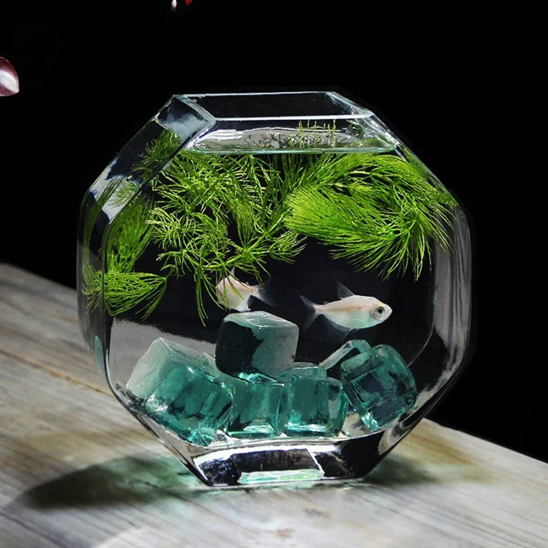 Итальянский стиль современная версия оригинальный дизайн для аквариумов