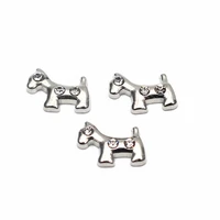 10pcslot crystal silver dog bone floating charms fit diy glass living memory locket pendant necklace jewelry lucky gift