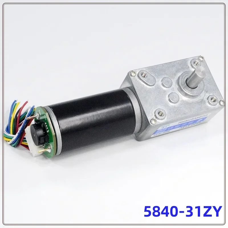 High Torque 12v DC Motor 24V Electric Worm gear motor With Encoder