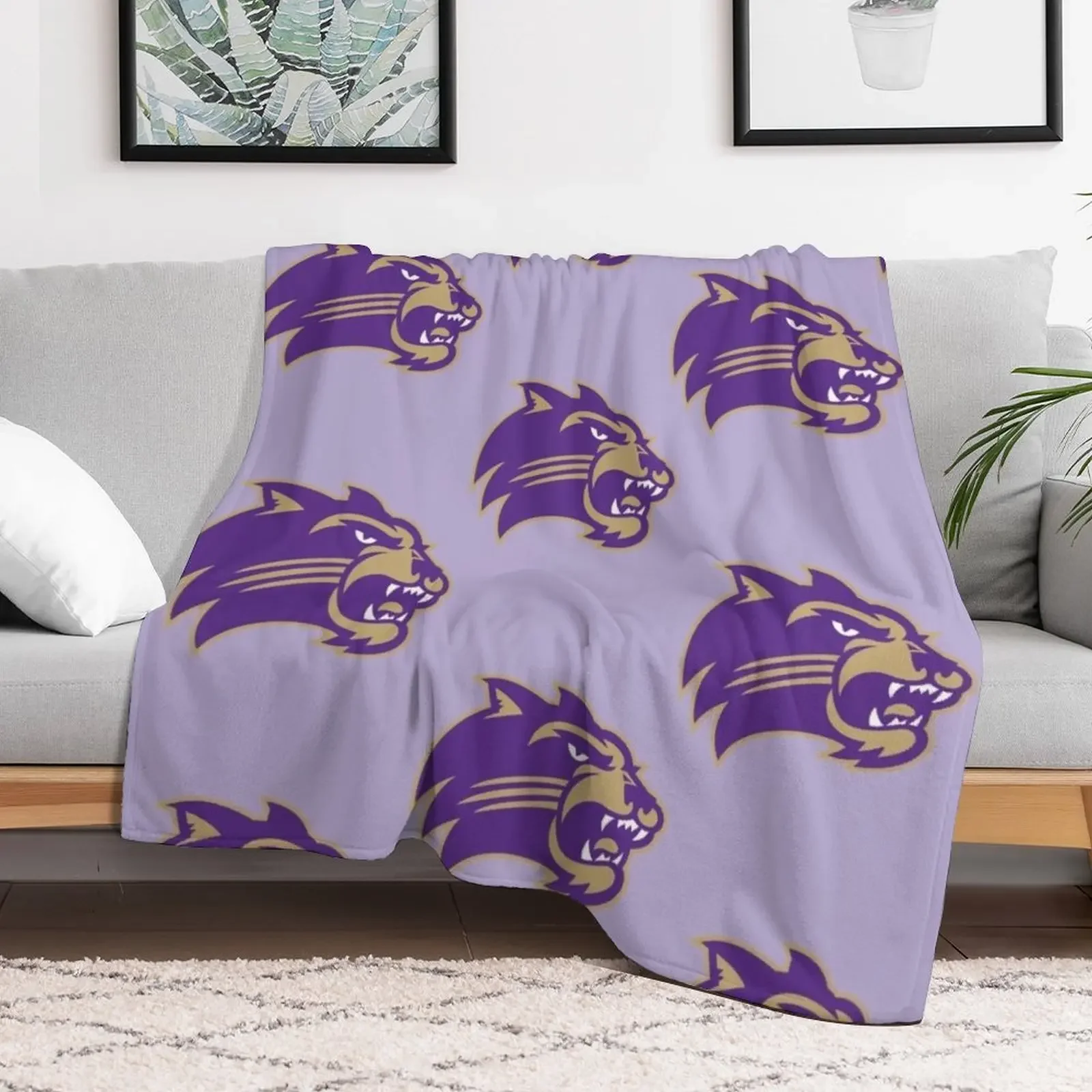 Фото Мягкое одеяло Western Carolina Catamounts для пикника, пляжа и кемпинга №2