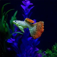 pet supplies underwater ornaments night light simulation fish aquarium landscape artificial fish fish tank decoration