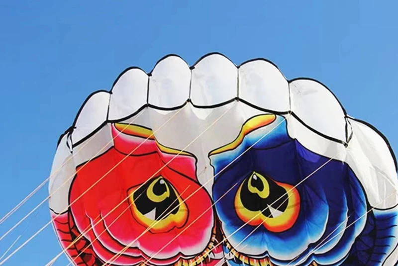 Бесплатная доставка рыбный воздушный змей летающий мягкий для взрослых надувные