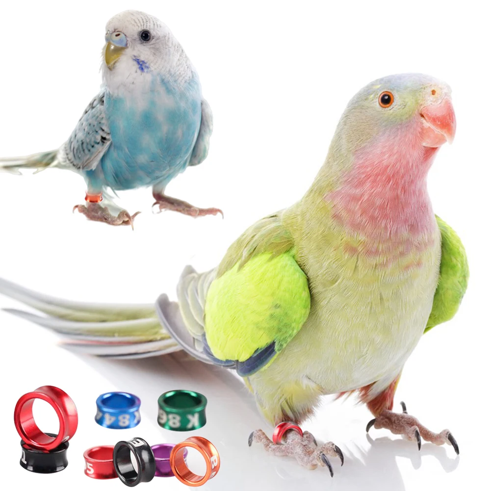 Aluminum Bird Parrots Foot Ring Pigeons With Numbered Outdoor Flight Training Tool Competition Identification Label |
