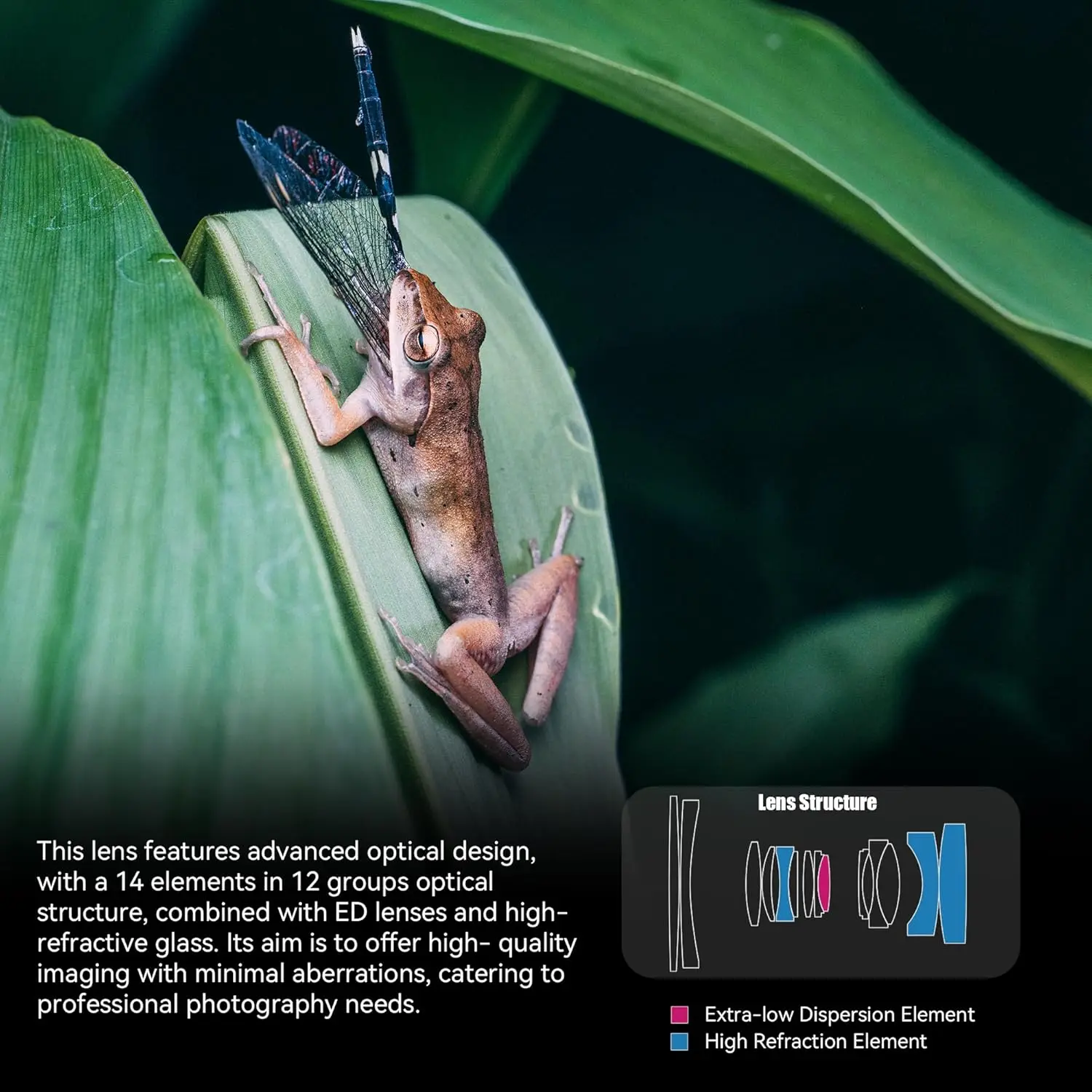 Фото 7artisans INFINTE 65mm T2.9 Макрообъектив 2X для полнокадровых камер, для гуманитарной фотографии, с креплением Sony E, Nikon Z, Canon RF №3