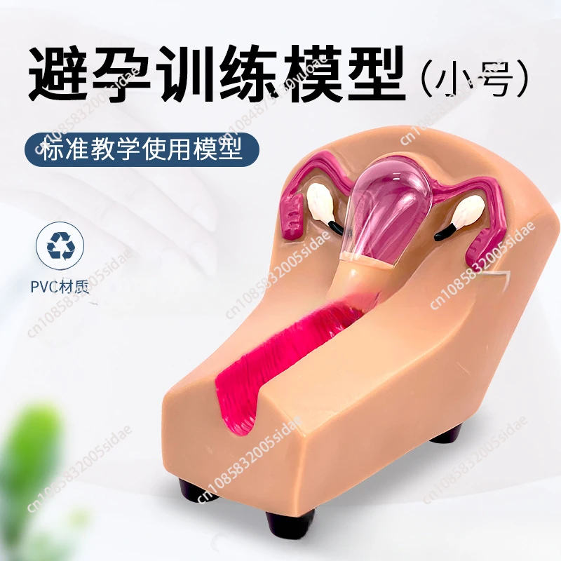 Тренировочный симулятор IUD женское внутриутеринское контрацептивное устройство
