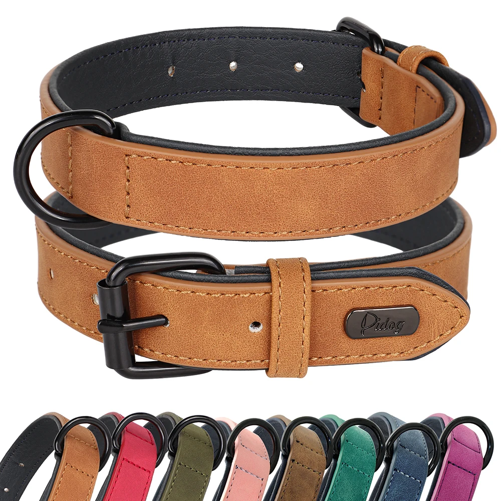 Soft Padded Dog Collar