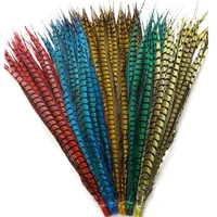 50pcslot colorful lady amherst pheasant tail feathers for clothes long decor diy carnival holiday accessories decoration plumes