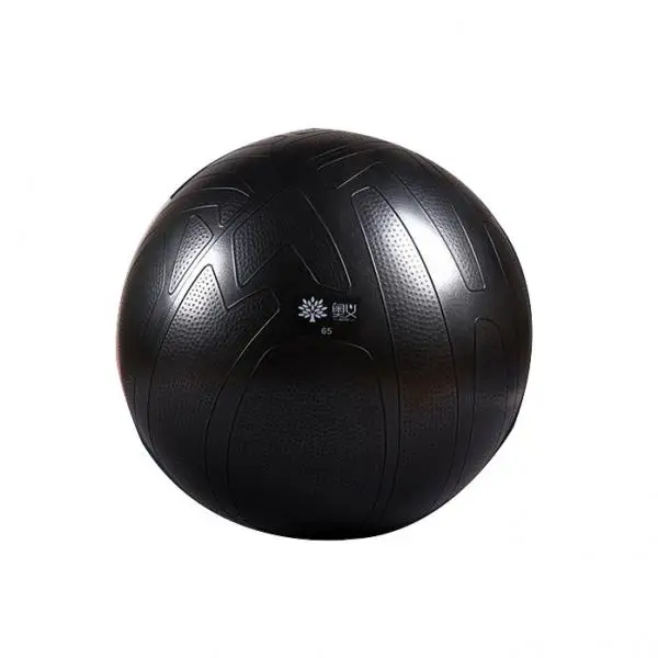 

Anti-burst Gymnastics Ball sitting on a ball Yoga Ball Balls