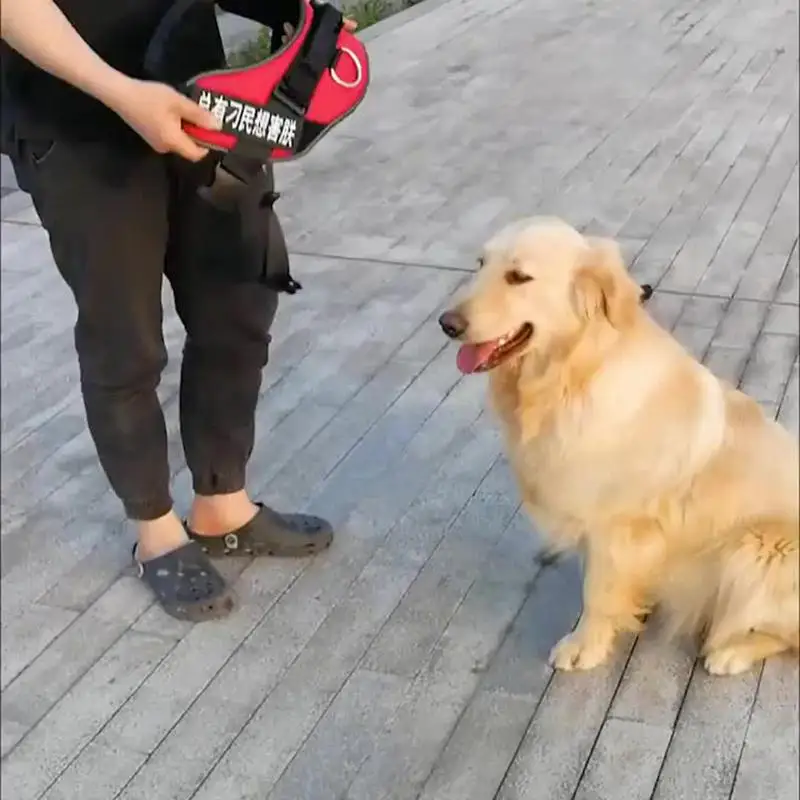 

Ultimate Large Dog Chest and Back Harness with Pet Leash - The Perfect Pet Supplies for Your Furry Friend