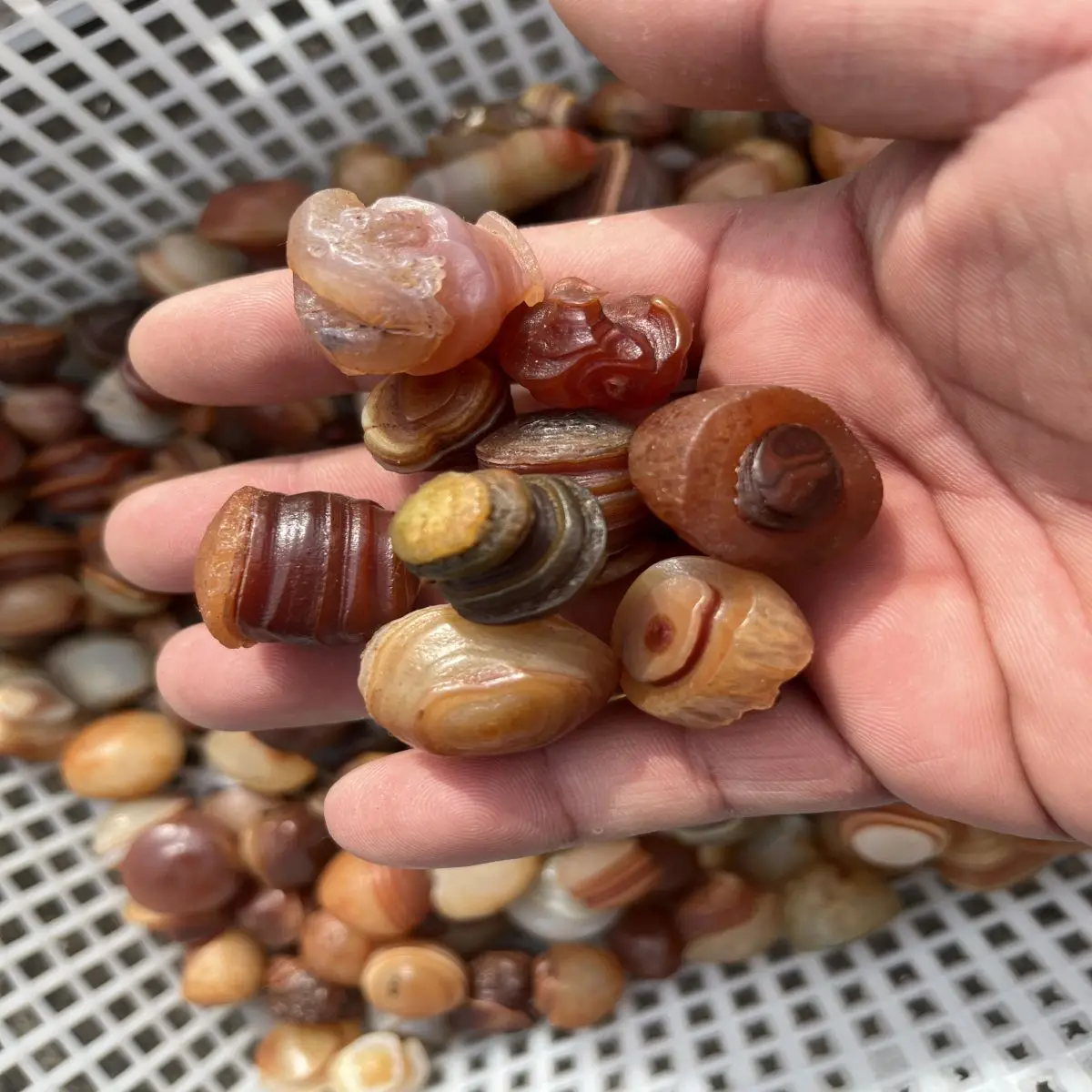 Natural Crystal Original Stone Desert Gobi Spiral Agate Grain Clear Play Collection Decorative High