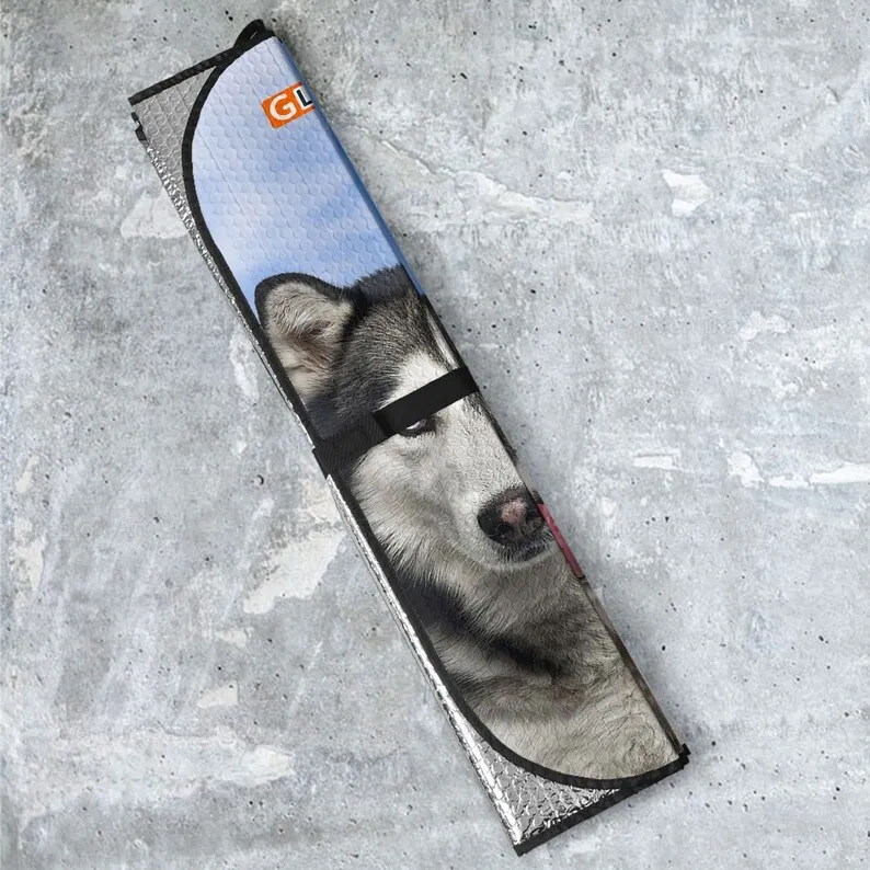 Рисунок 2 - Автомобильный солнцезащитный козырек Husky