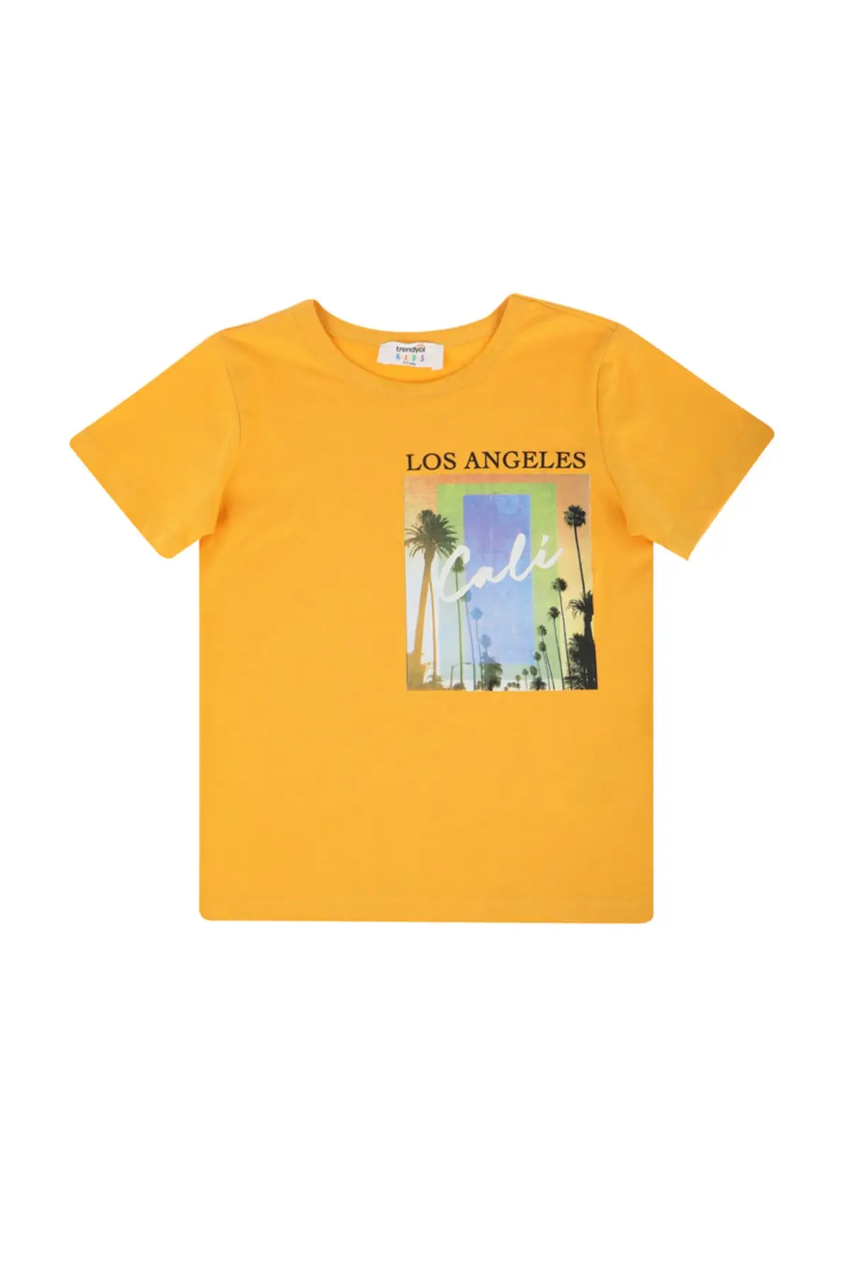 

Printed Male Child Knitted T-Shirt TKDSS22TS1257