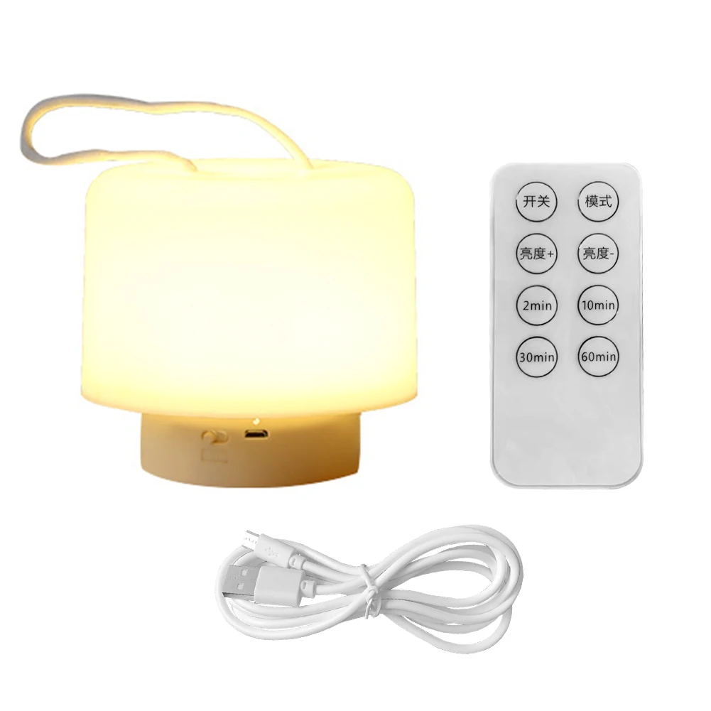 

Nursery Hanging Dimmable Bedside USB Rechargeable LED Night Light With Remote Control