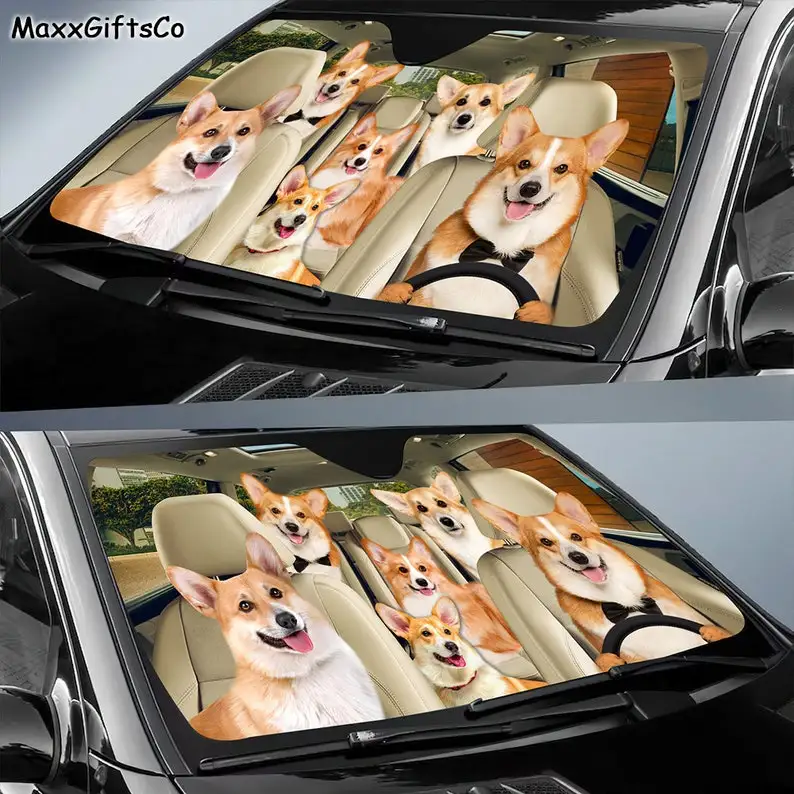 Рисунок 2 - Автомобильный солнцезащитный козырек Corgi