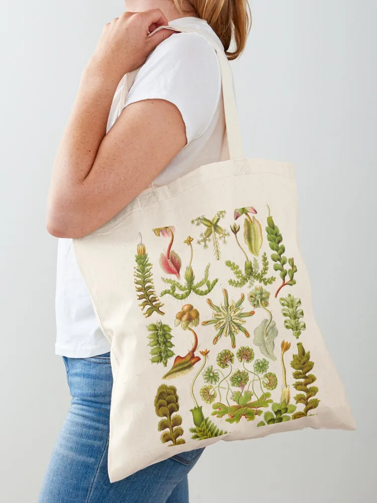 Hepaticae - Ernst Haeckel Tote Bag сумка-тоут на заказ холщовая сумка для покупок подарочная