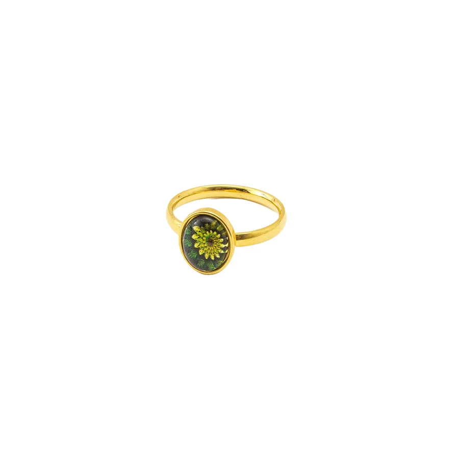 

Wholesale Good Price Glass Flower Pattern Women Rings EMO Accessories Fashion Stainless Steel Jewelry For Men Stranger Things