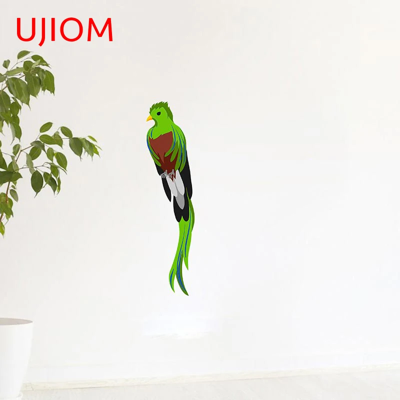 

UJIOM Quetzal Tropical Exotic Bird Children's Bedroom Decor Wall Stickers Home Office Bathroom Room Decor Wall Decal