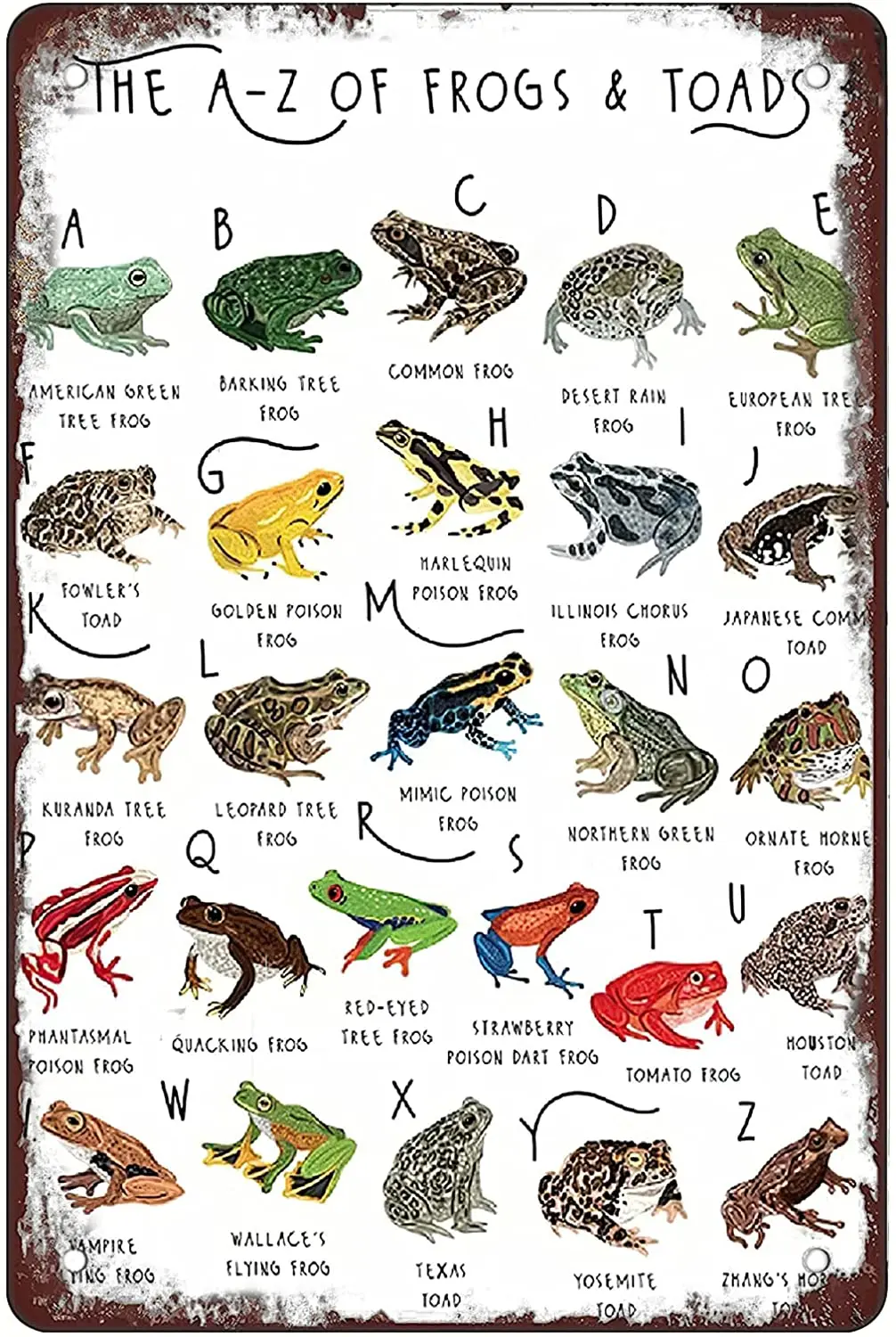 

Retro Funny Metal Sign Sheet Signs Tin Sign,The A-Z Frogs Toads Knowledge Outdoor Home Wall Decoration, Size:8 x 12