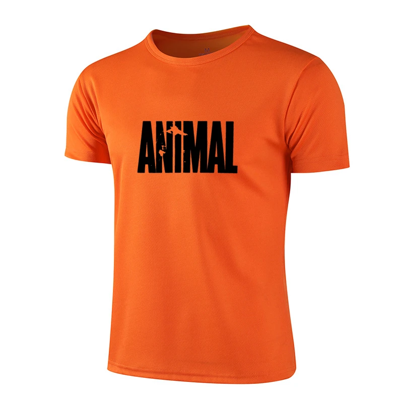 

New Men's Short Sleeve Sports T-Shirt Slim Running Shirt Polyester Summer Dress Breathable Cool Quick Dry Youth Top