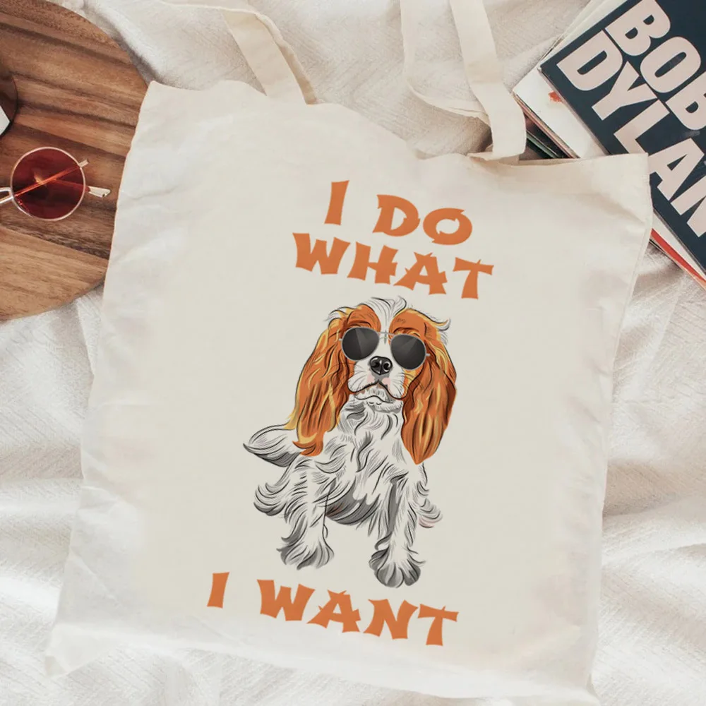 Собака кавалер Кинг чарльз спаниель