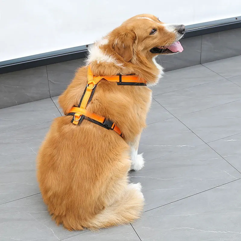 

Small Meduim Big Dog Harnesses Orange Vet Collar Leash