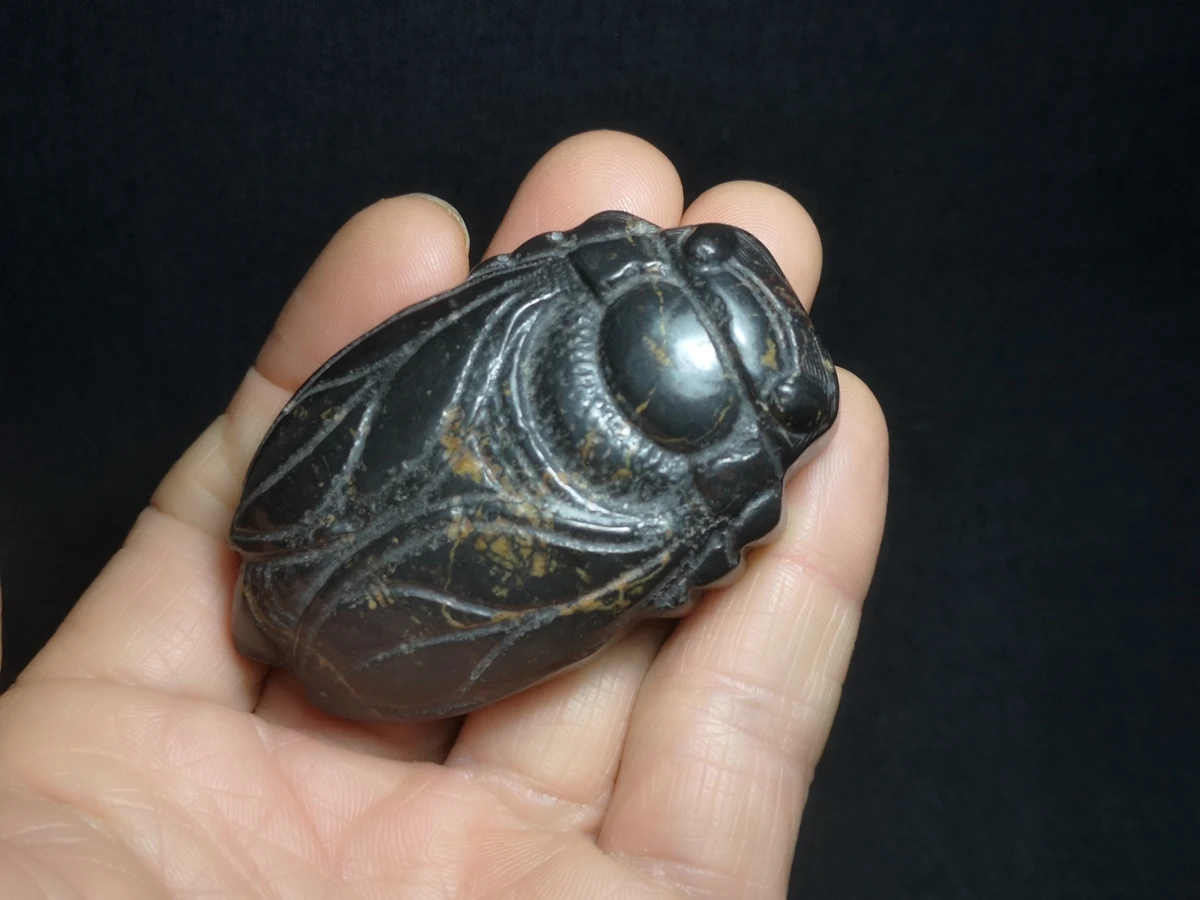 

1919 Collection Chinese Hongshan Culture Black Magnet Jade carving Cicada Pendant Ornament gift