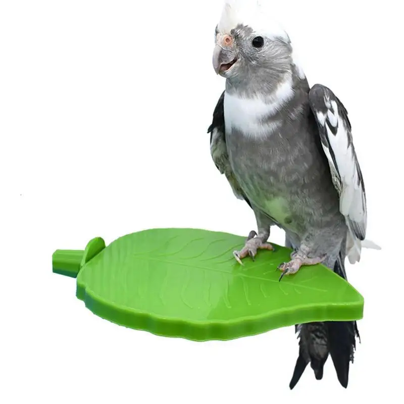

Parrot Perch Stand Pet Toy Creative Leaf Shape Bird Platform Squirrels Exercise Supplies Bird Cage Accessories Pet Supplies