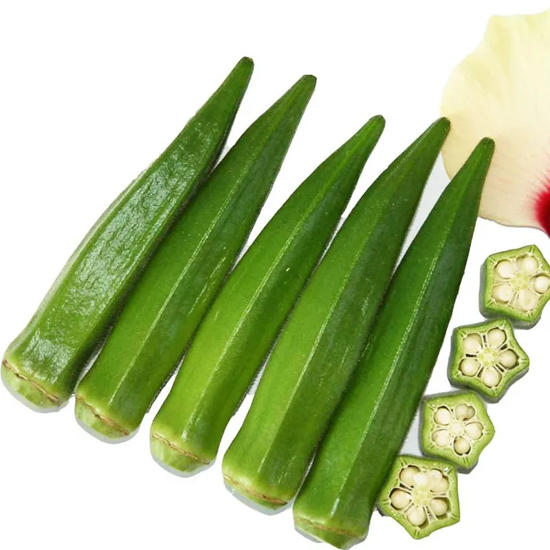 

Men's Household Function enhancement Good Quality Okra Oyster Suit 10pcs