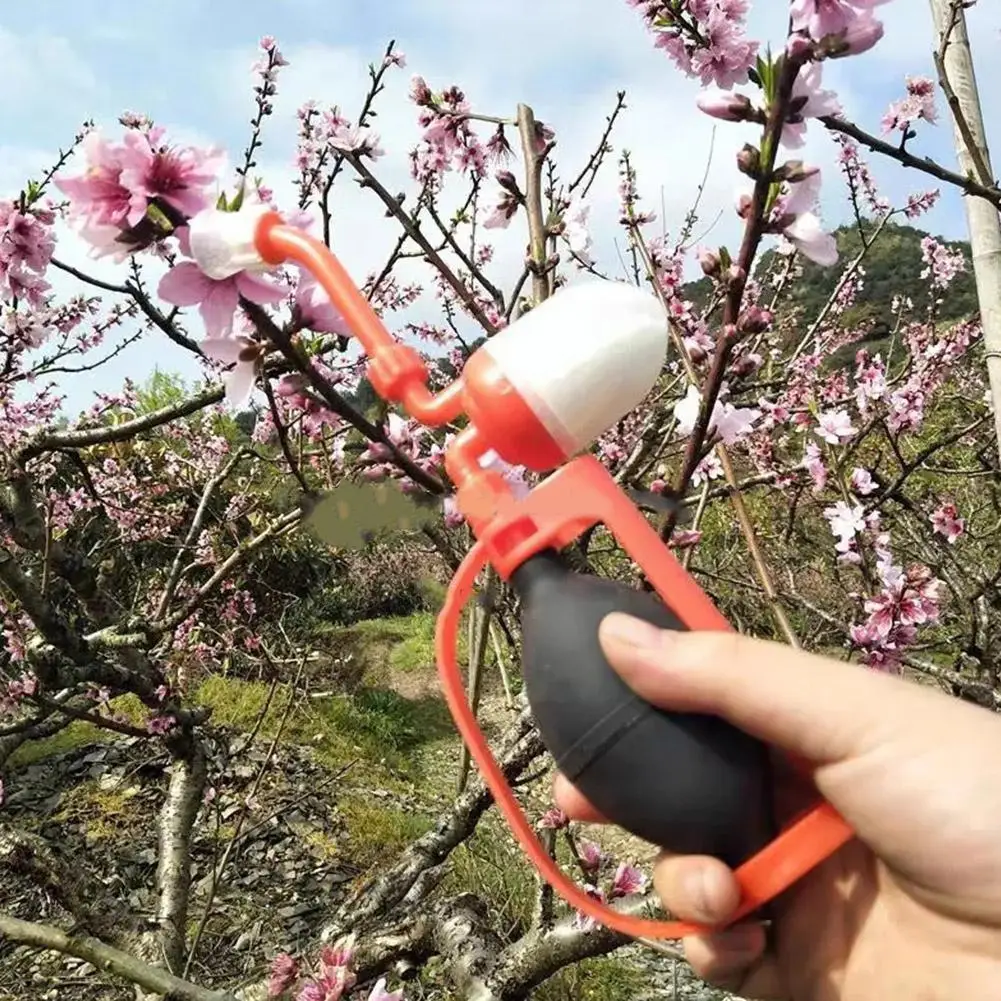 

Tomato Pollinator Professional Durable Pollination Powder Machine Tool For Outdoor Garden Plant Breeding Peach Flower Veget D3w0