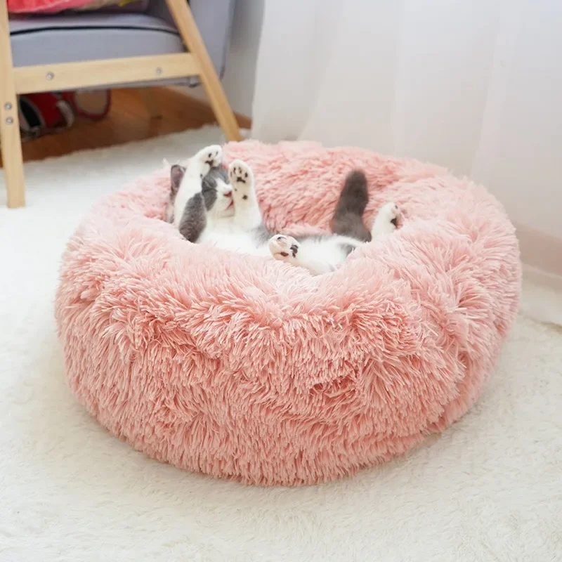 Эль otoño estáراق государственpuede estar lejos del invierno? Tu mascota интеллектуальное удобное и