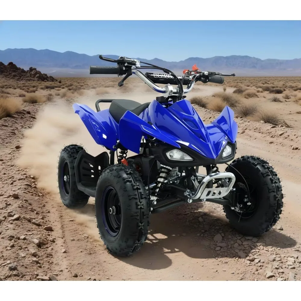 Фото Детский квадроцикл на бензине, 49cc, 50cc, 110cc, 125cc, двухтактный, для детей №1